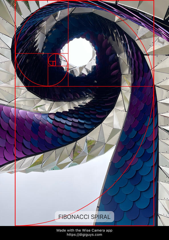 Fibonacci Spiral Wise Camera app